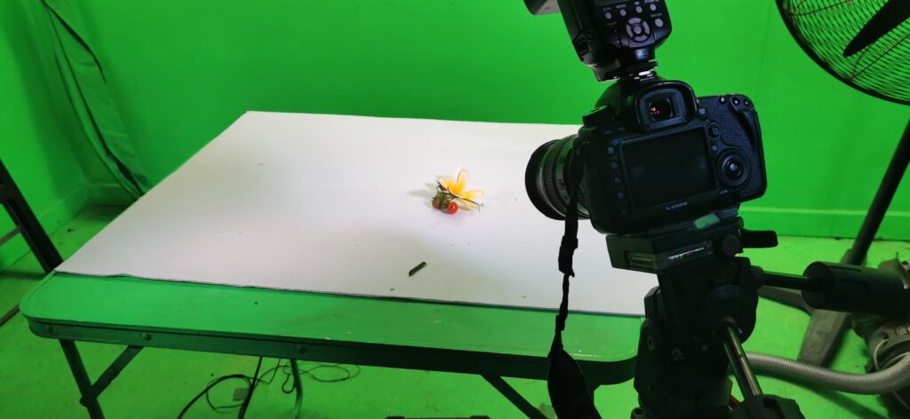 In the maxyphoto  green screen studio  