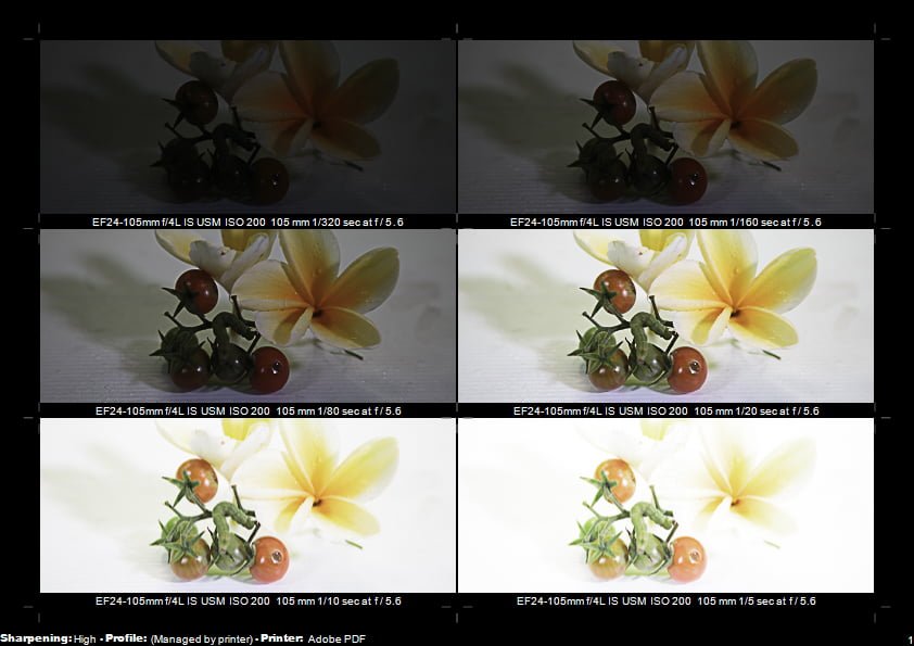 n-depth guide on bracketing and macro photography. Learn the basics and how to combine these techniques to create stunning images.